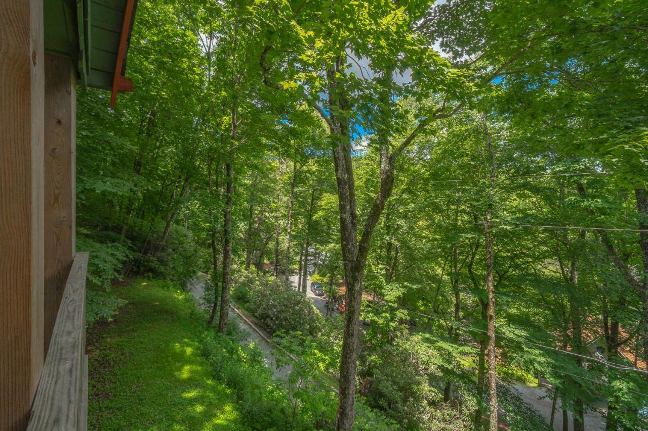 Swiss Mountain Village Blowing Rock Exteriér fotografie